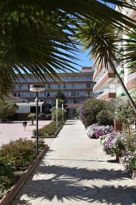 Alegre Apto Con Piscina, A 300M De La Playa. Blanes Exterior foto